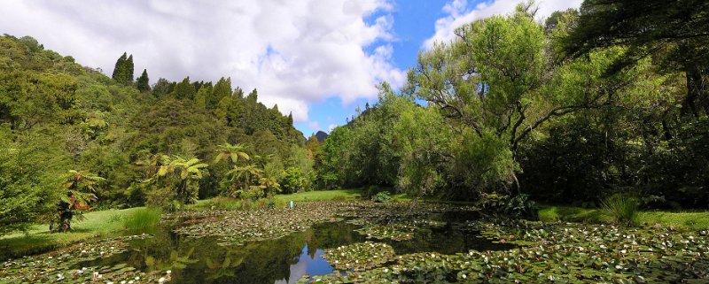 04 (83) Rapaura Water Gardens - Lily pond.JPG